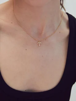 Celestial Necklace - Aries