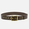 Everyday Buckle Belt - Chocolate/Gold